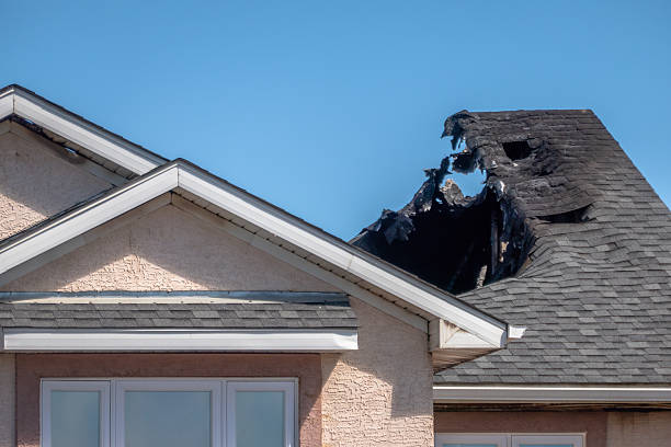 Top rated local Board Up Services specialists in Medina, TX